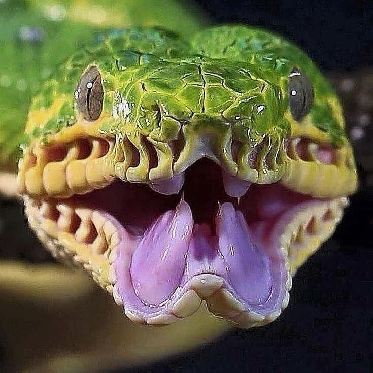 oooo , o ooo  oo o.,   .   ...