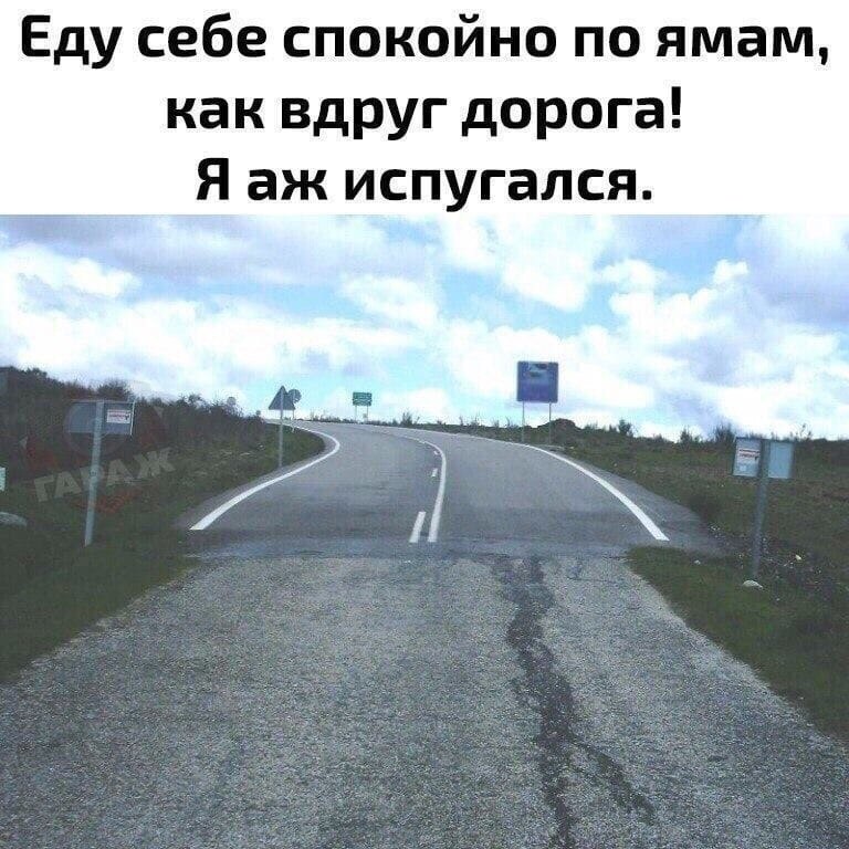   ))