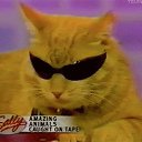 ���� ������, ������, 61 ��� - ��������� 25 ��� 2020 � ������ ���� ����������