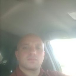 ����, �������, 43 ����