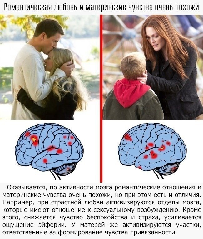    -    .   ,     ... - 9