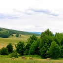 ���� ���������, �������, 57 ��� - ��������� 30 ���� 2020 � ������ ������ ��������