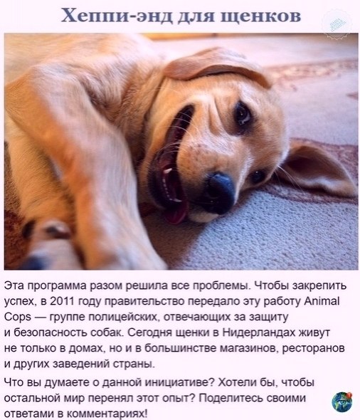 a  a  o c  aa: - 6