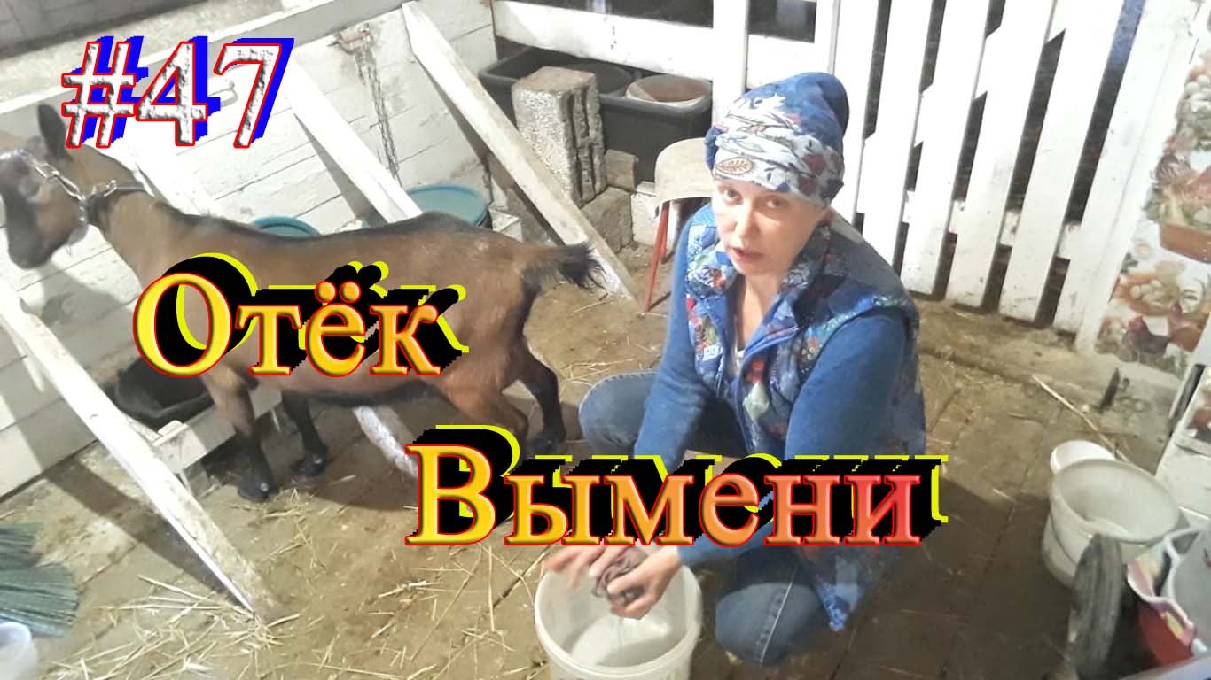 https://fotostrana.ru/away?to=/sl/F375