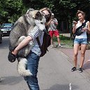 ���� �����, ���������, 61 ��� - ��������� 17 ������ 2020 � ������ �����