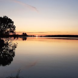 ���� �������, ���������, 46 ��� - ��������� 18 ������� 2020