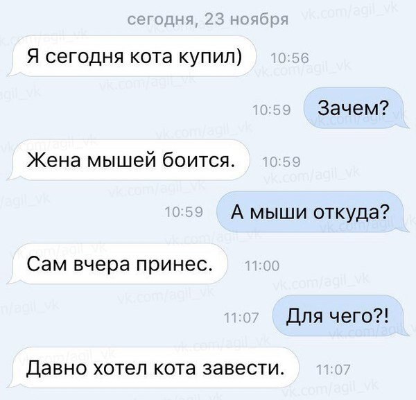    - 10  2020  19:08