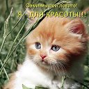 ���� ������, �����-���������, 67 ��� - ��������� 29 ������� 2020 � ������ ������ ��������