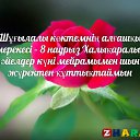 ���� ������, �������, 53 ���� - ��������� 8 ����� 2020