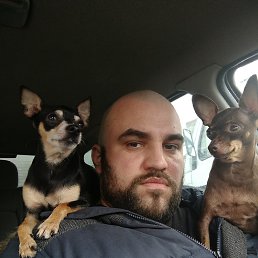 Mr, ������, 39 ���