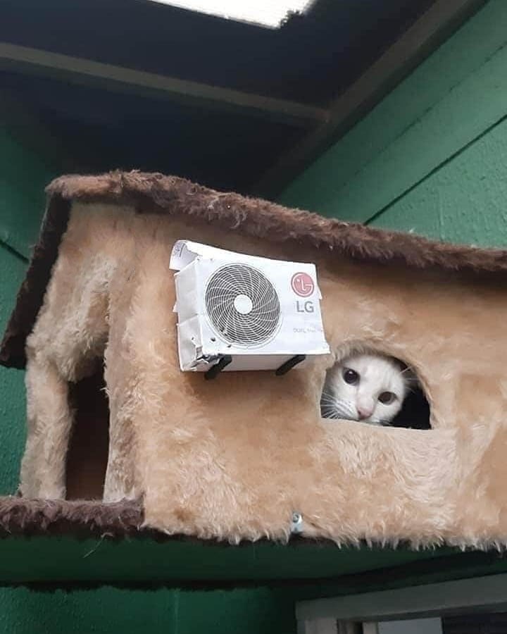   ,     ,  