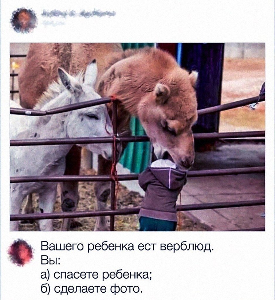 ������� - 17 ������ 2020 � 18:27