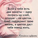 ���� ������, ���������, 55 ��� - ��������� 2 ���� 2020 � ������ ������ ��������