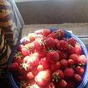 ���� ������, ������� - ��������� 26 ���� 2020 � ������ �������