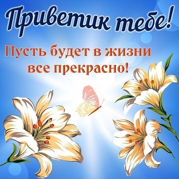   ,    . - 12  2020  13:08