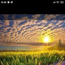 ���� �����, ���� - ��������� 4 ������ 2020 � ������ ������ ��������