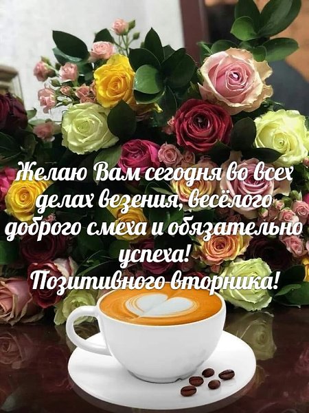   ,    . - 23  2020  20:02 - 3