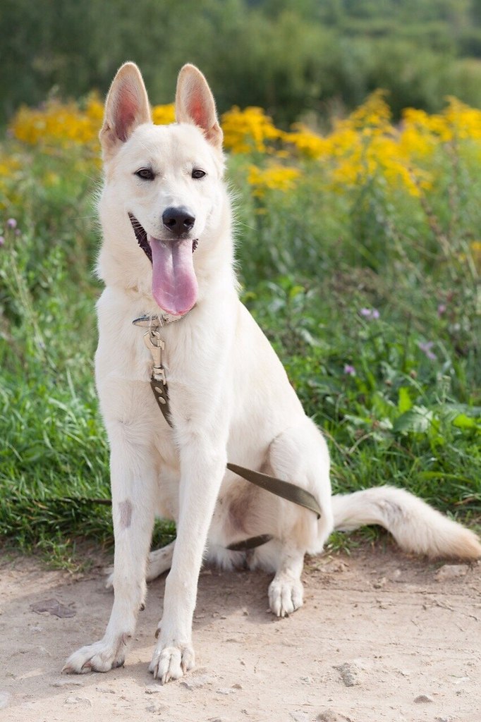 ������ - 30 ���� 2020 � 18:36