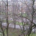 3 04 20 �� ������� ������ ��������