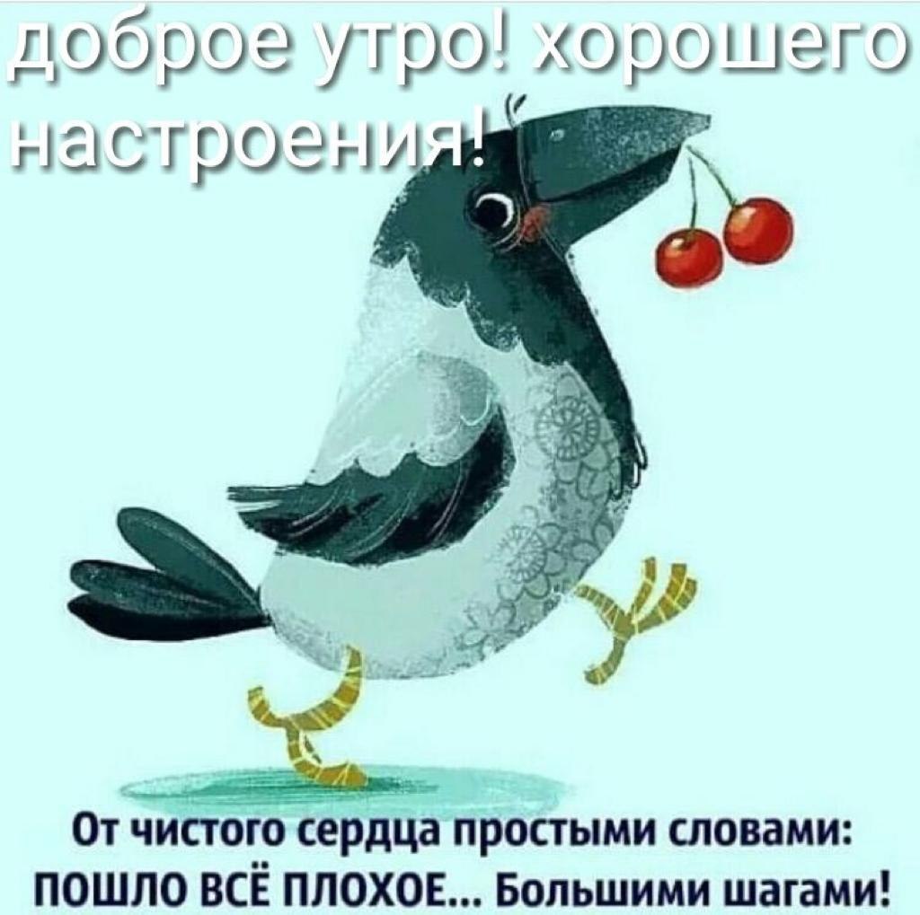   ! - 28  2020  08:04