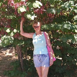 ����, ��������, 73 ����