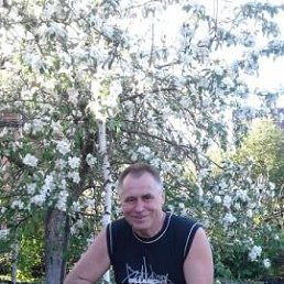 ������, ���������