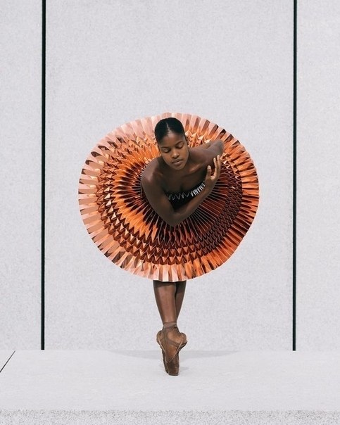  - ballerina, ballet dancer, dancer.-ballerina |blrin|      ... - 8