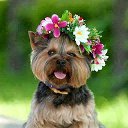 ���� �����, ����, 58 ��� - ��������� 1 ���� 2020