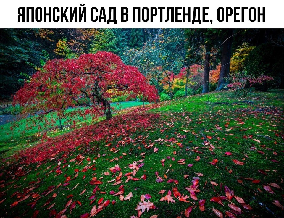    ! - 11  2020  18:46