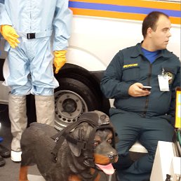 ����, ������, 59 ���