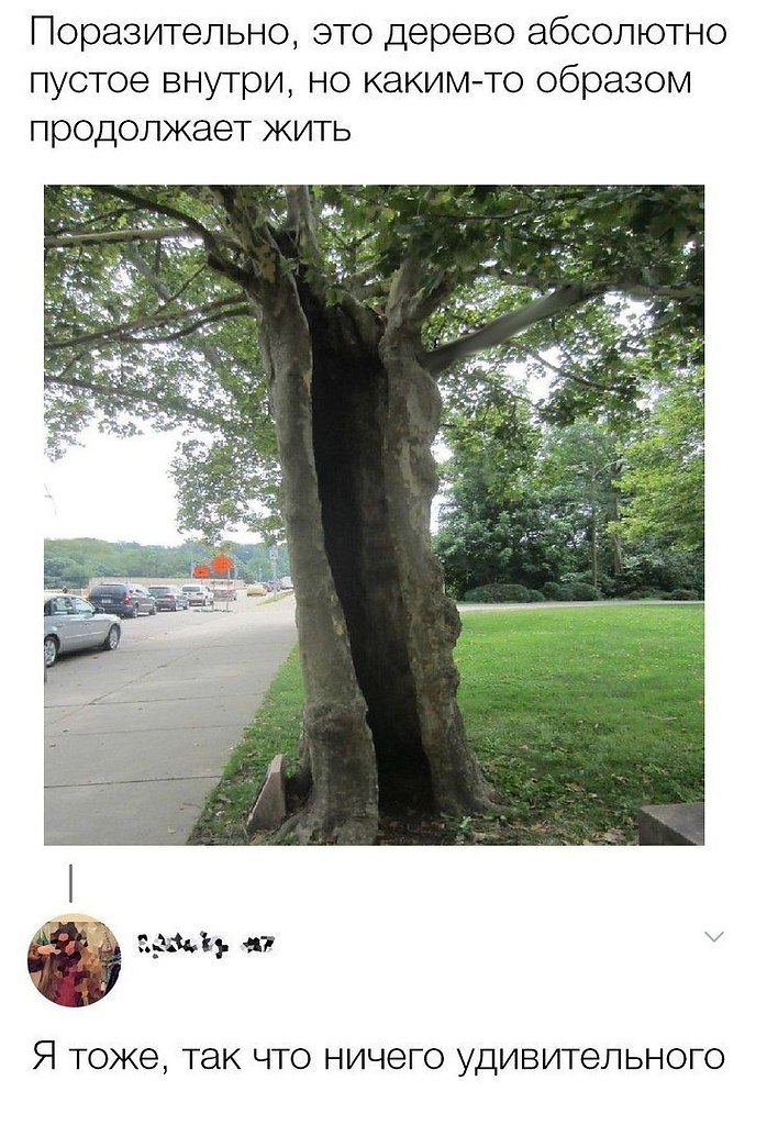  - 25  2020  20:03