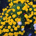 ���� �����, ������, 48 ��� - ��������� 25 ������� 2020 � ������ ���� ����������