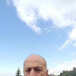 , 57, 