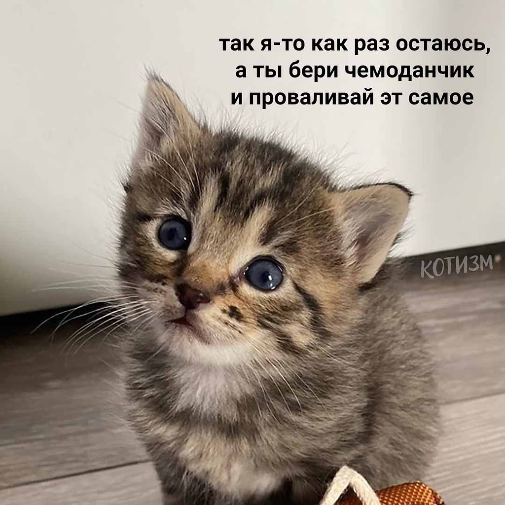   -     - 5