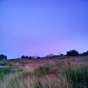 ���� �����, ���� - ��������� 13 ���� 2020 � ������ ���� ����������