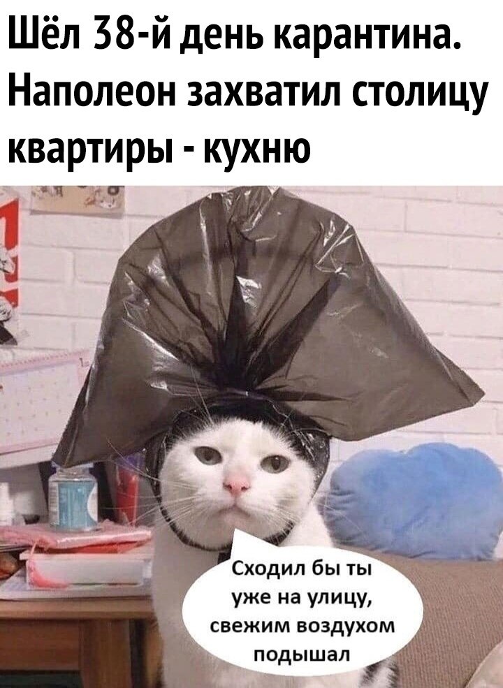   - ))