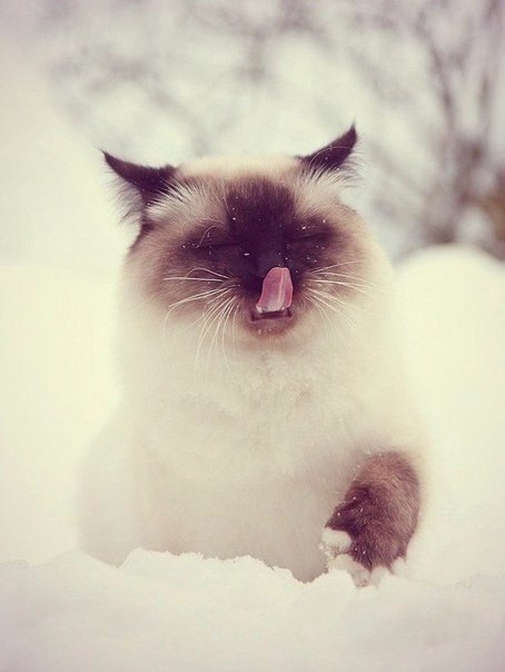 �����k :) �� ��o���k� - 3