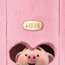 ���� ����, �����-���������, 55 ��� - ��������� 8 ����� 2020 � ������ �Cute Pig�