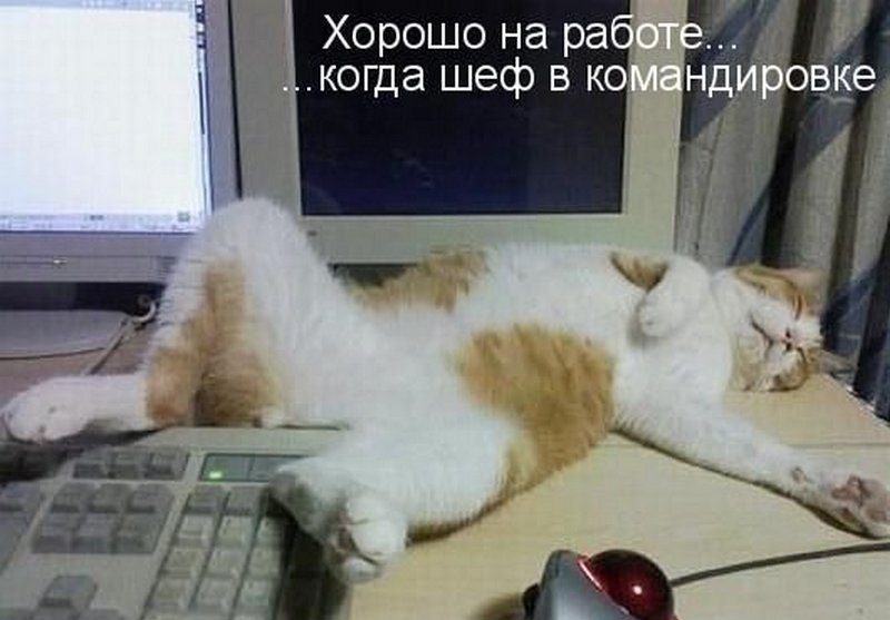  - 6  2020  19:34