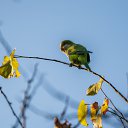 ���� ������, ������ - ��������� 3 ������ 2020 � ������ ����������