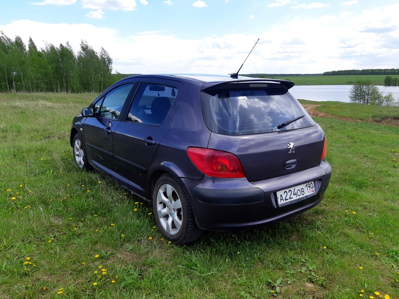     .      . Peugeot 307, 1.6  ... - 3