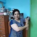 ���� ������, �������, 53 ���� - ��������� 20 ����� 2020 � ������ ���� ����������