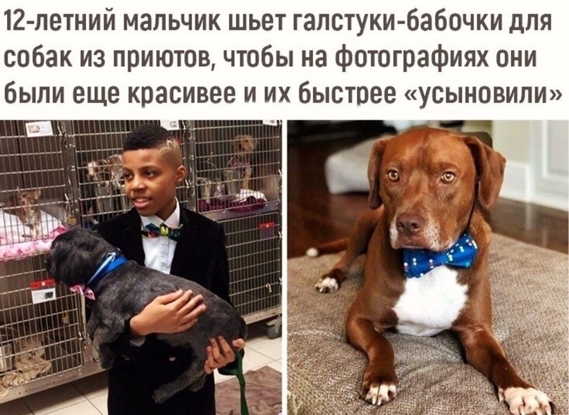  !!!     