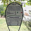 ���� ������� ������������, �����������, 64 ���� - ��������� 21 ����� 2020 � ������ ������� ������ ������������� �������߻