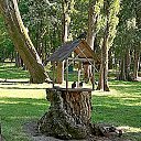 ���� �������, ���������, 73 ���� - ��������� 7 ���� 2020 � ������ ������ ��������