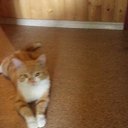 ���� �����, �����, 57 ��� - ��������� 23 ����� 2020 � ������ ���� ����������