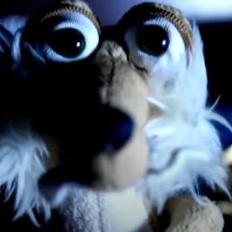 ����, ��������, 26 ���