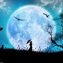 ���� ������, �����, 55 ��� - ��������� 6 ����� 2020 � ������ ���� ����������