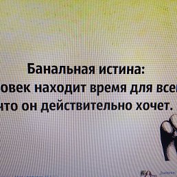 ���� �����, �������, 41 ��� - ��������� 16 ��� 2020