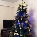���� ������, ������ - ��������� 21 ����� 2020 � ������ ���� ����������